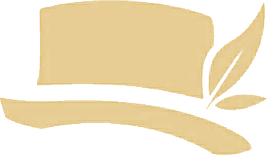 Mostly Hip logo